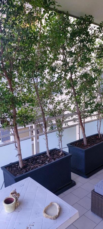 Garden Apartment Bari Exterior photo
