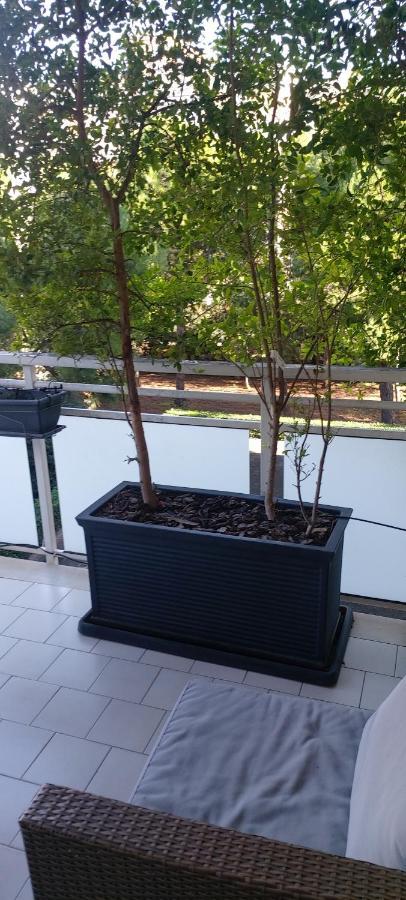 Garden Apartment Bari Exterior photo